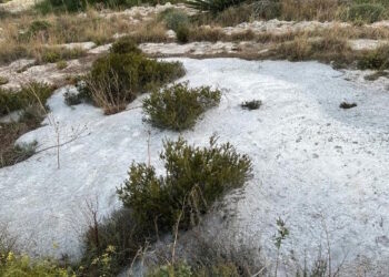 Smaltimento illegale dei rifiuti: ERA stanga quattro “furbetti” con multe da ottomila euro