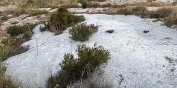 Smaltimento illegale dei rifiuti: ERA stanga quattro “furbetti” con multe da ottomila euro