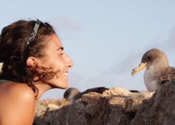 Marie Claire Gatt è la prima inanellatrice maltese nella storia del “Bird Ringing Scheme”