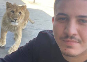 Violentò una ragazza nel 2019: il Tribunale conferma la condanna a 6 anni di reclusione per Tyson Grech