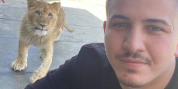 Violentò una ragazza nel 2019: il Tribunale conferma la condanna a 6 anni di reclusione per Tyson Grech