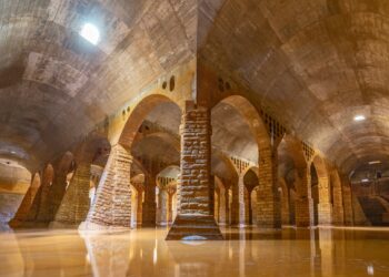 bacini idrici WSC Water Service Corp