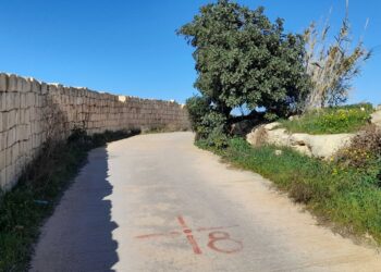 Friends of the Earth Malta sulla nuova strada tra Smart City e Zabbar: «È una proposta stupida»