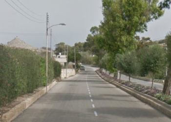 Centinaia di alberi saranno sradicati dalla strada che collega Victoria e Marsalforn