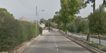 Centinaia di alberi saranno sradicati dalla strada che collega Victoria e Marsalforn