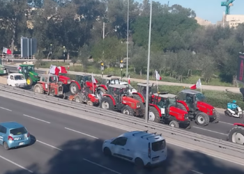 Gli agricoltori tornano a scendere in strada per protestare: «Niente cibo, niente futuro»