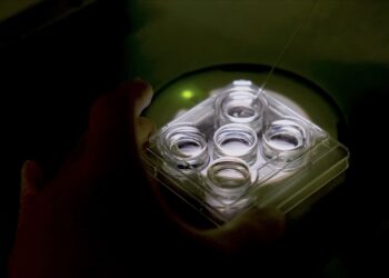 Esteso il rimborso dei farmaci per la fecondazione in vitro: l’annuncio del ministro della Salute