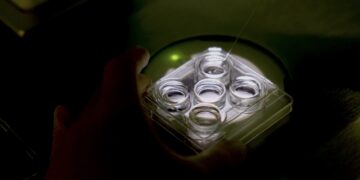 Esteso il rimborso dei farmaci per la fecondazione in vitro: l’annuncio del ministro della Salute