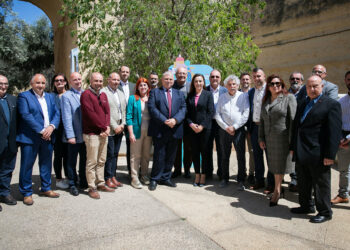 Verde in città: al via programma per incentivare i Comuni a piantare alberi di ulivo e arancio