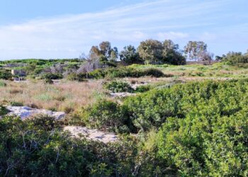 A Birzebbugia si dice “no” alla pista d’atterraggio per aeromodelli