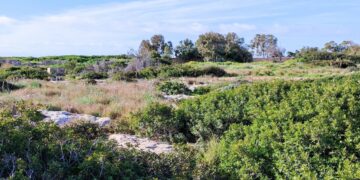 A Birzebbugia si dice “no” alla pista d’atterraggio per aeromodelli