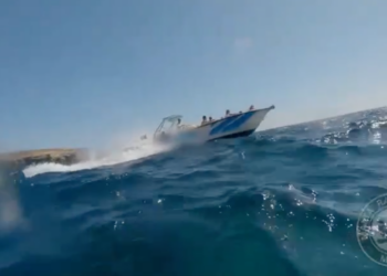 Barca sfreccia quasi sulla testa di un sub: strage evitata per un soffio