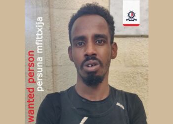 Mubarik Abdiaziz Ali