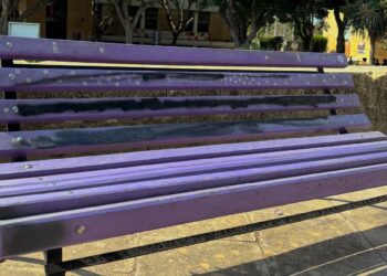 Vandali prendono di mira la panchina in ricordo delle vittime di femminicidio e violenza domestica