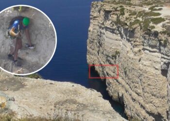 Esemplare di Berta maggiore muore dopo essere rimasto impigliato in una lenza da pesca fantasma