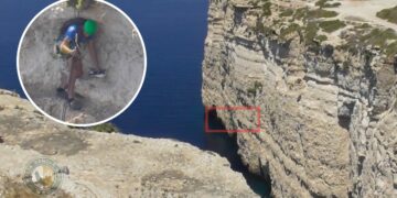 Esemplare di Berta maggiore muore dopo essere rimasto impigliato in una lenza da pesca fantasma