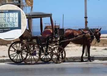 karozzin, karrozzini,