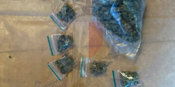 cannabis marijuana droga