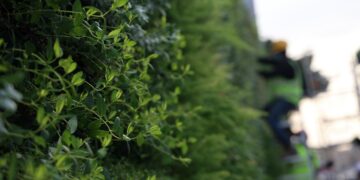 Giardino verticale in stato di degrado lungo il bypass Marsa-Hamrun; avviate azioni legali contro l’appaltatore