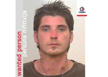 cover Patrick Ryan Mc Gahern