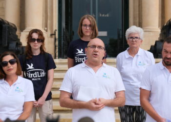 BirdLife Malta chiede la sospensione immediata della stagione di cattura dei fringuelli: «Abela sfida le leggi UE»
