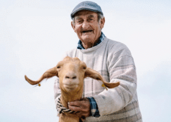 Il pastore di Dingli “Ġużu tal-Beżuża” candidato per l’onorificenza Ġieħ ir-Repubblika