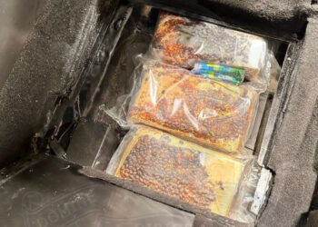 Due italiani arrestati con quattro chili di cocaina nascosti nella Mercedes sbarcata dalla Sicilia