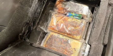 Due italiani arrestati con quattro chili di cocaina nascosti nella Mercedes sbarcata dalla Sicilia