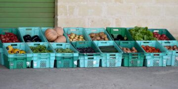 cibo agricoltura verdura maltese