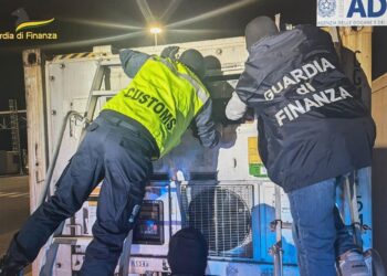 Maxi-sequestro al porto di Livorno: intercettati 40 chili di cocaina nascosti tra le banane, tre arresti