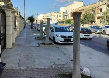 Mistero sugli alberi capitozzati di Mosta, Infrastructure Malta sporge denuncia alla polizia
