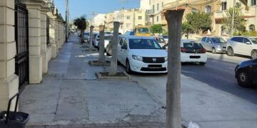 Mistero sugli alberi capitozzati di Mosta, Infrastructure Malta sporge denuncia alla polizia