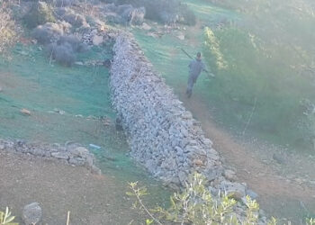 Caccia illegale prende di mira i santuari degli uccelli: BirdLife denuncia mancanza di controlli efficaci