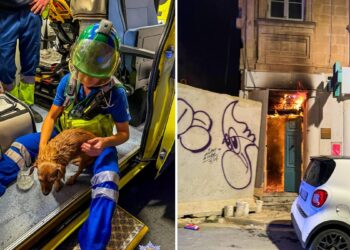 Quattro persone e un cane tratti in salvo tra le fiamme che hanno avvolto un’abitazione a Sliema