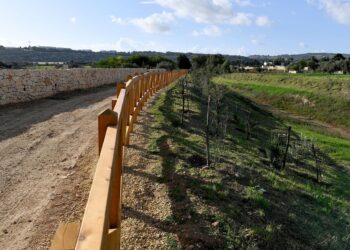 Nuova vita per Wied Ghajn Rihana: completati i lavori di rigenerazione della valle di Burmarrad