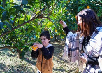 Festa Ċitru torna al San Anton Palace: protagonisti gli agrumi e l’intrattenimento per grandi e piccini