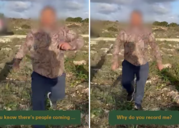 Passeggia con il cane e finisce in ospedale: sotto accusa sospetto bracconiere