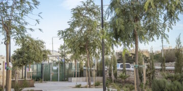 Malta diventa più verde, nel 2024 piantati ottomila nuovi alberi