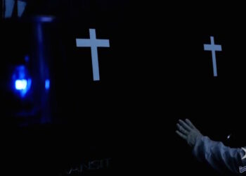 Nelle acque maltesi spunta il gambero “alieno” proveniente dall’Oceano Atlantico