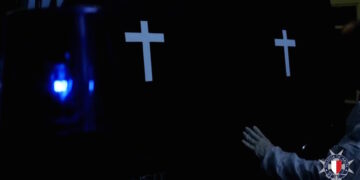 Nelle acque maltesi spunta il gambero “alieno” proveniente dall’Oceano Atlantico