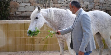 Al St. Vincent De Paul nasce “Razzett l-Hena”, la nuova fattoria terapeutica in aiuto agli anziani