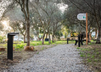 Inaugurato a St. Paul’s Bay il giardino “Kacey Sciberras” in memoria della 17enne vittima della strada