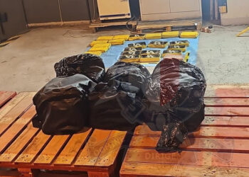 Droga nascosta tra i gamberetti surgelati: sequestrati 98 chili di cocaina diretti a Genova