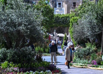 Torna il verde in città con l’edizione 2025 del Valletta Green Festival