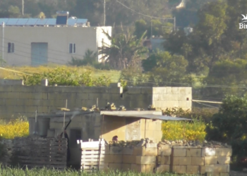 Primavera di «illegalità quotidiane» a Malta: stagione di caccia aperta «senza regole né dati ufficiali»