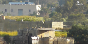 Primavera di «illegalità quotidiane» a Malta: stagione di caccia aperta «senza regole né dati ufficiali»