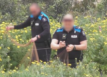 Ong denuncia bracconaggio “dilagante” a Malta e Gozo: 19 cacciatori di frodo colti sul fatto