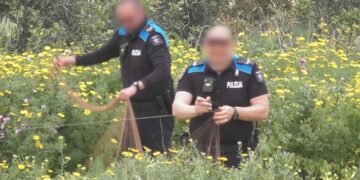Ong denuncia bracconaggio “dilagante” a Malta e Gozo: 19 cacciatori di frodo colti sul fatto