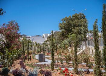 Da distesa di cemento a giardino urbano: a Pembroke nasce il St. David’s Garden