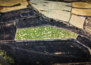 Vasto incendio nella Mgarr Valley: intervento in corso della Protezione Civile